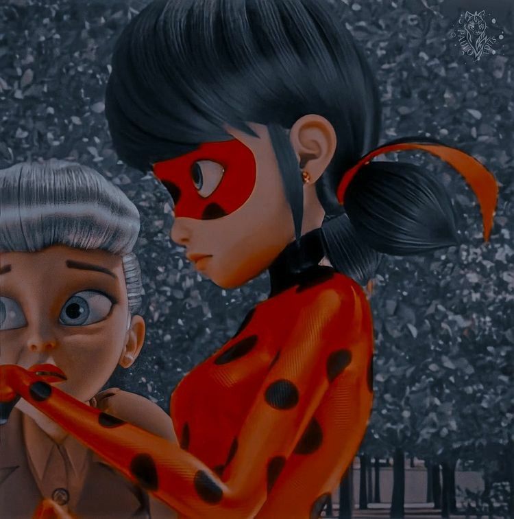 metadinha da ladybug