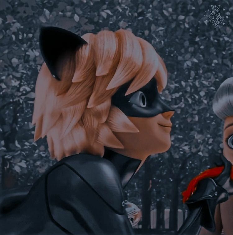 metadinha do cat noir