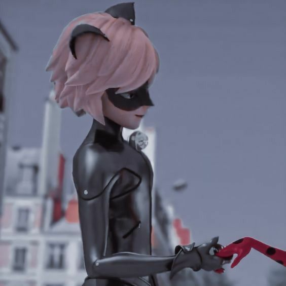 metadinha para casal de cat noir