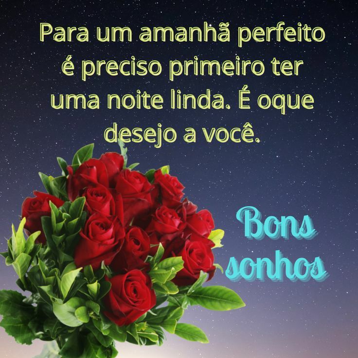 para ter um amanhã perfeito primeiro é preciso ter uma noite linda