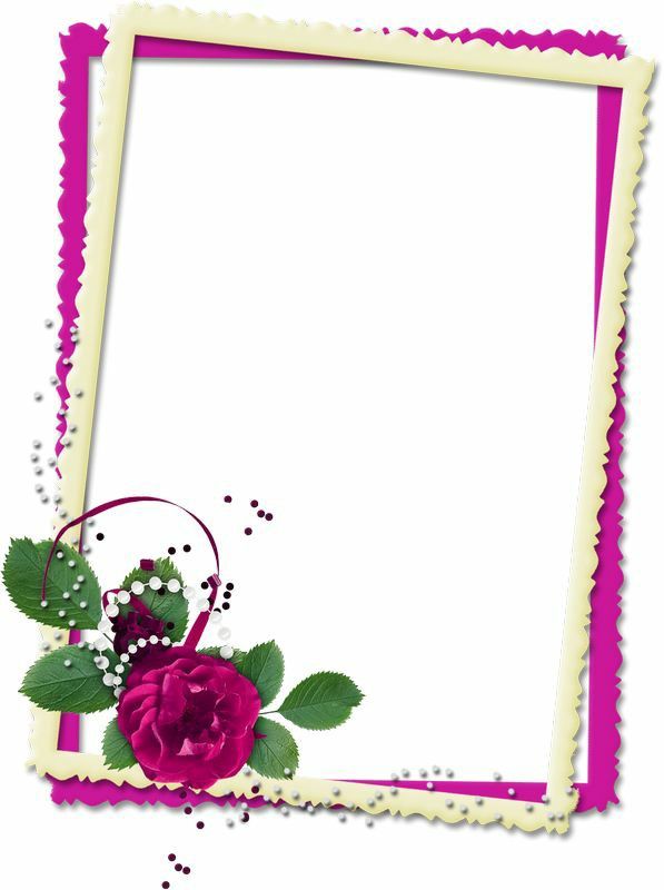 quadro com flor roxa linda