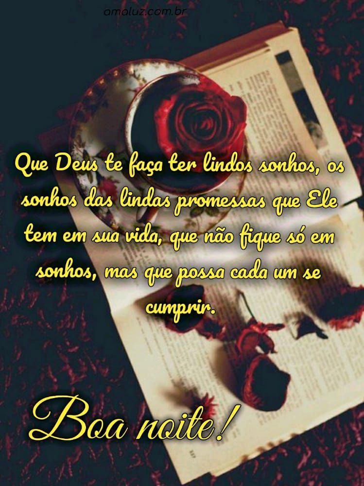 que deus te faça ter lindos sonhos boa noite