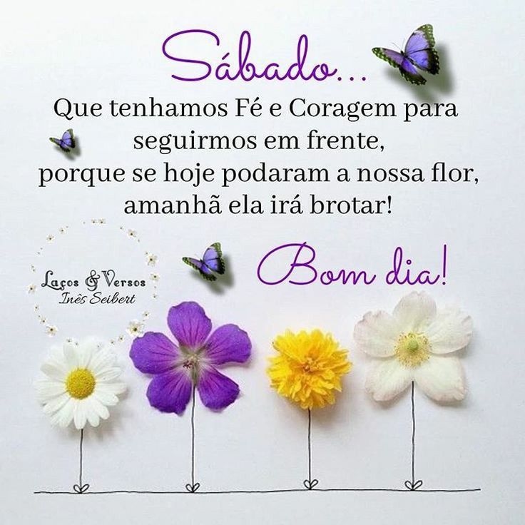 que tenhamos fé e coragem bom dia feliz sábado