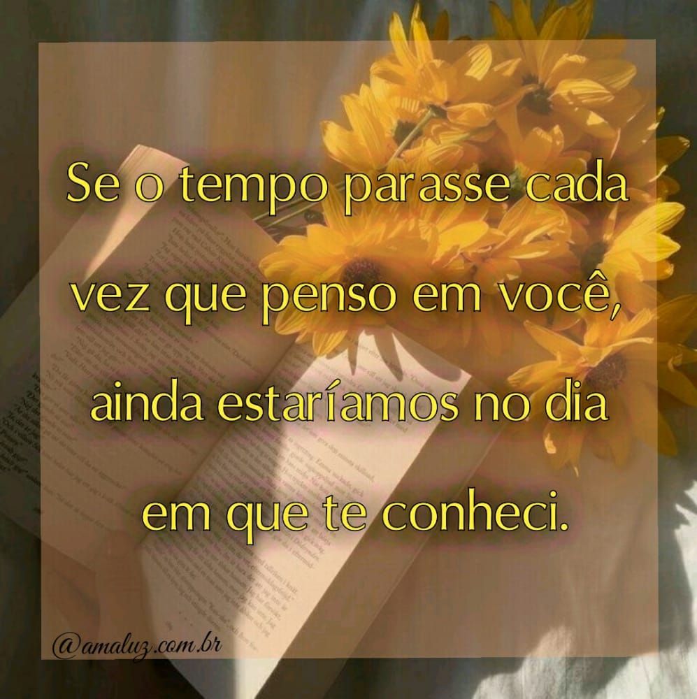 se eu podesse voltaria no dia em que te conheci