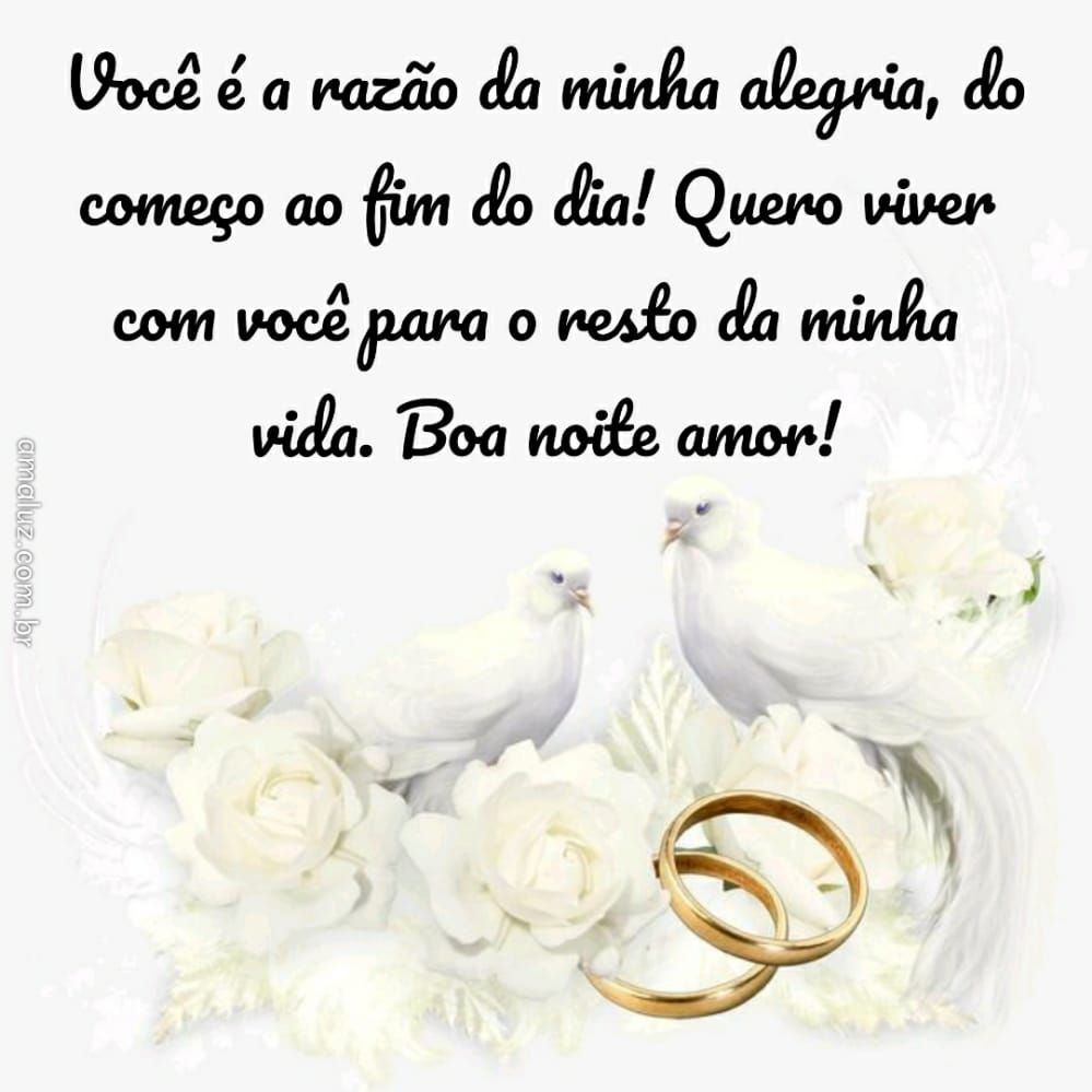 você é a razão da minha alegria boa noite amor