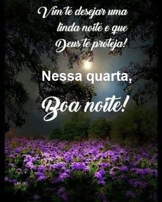 Boa noite quarta feira com flores