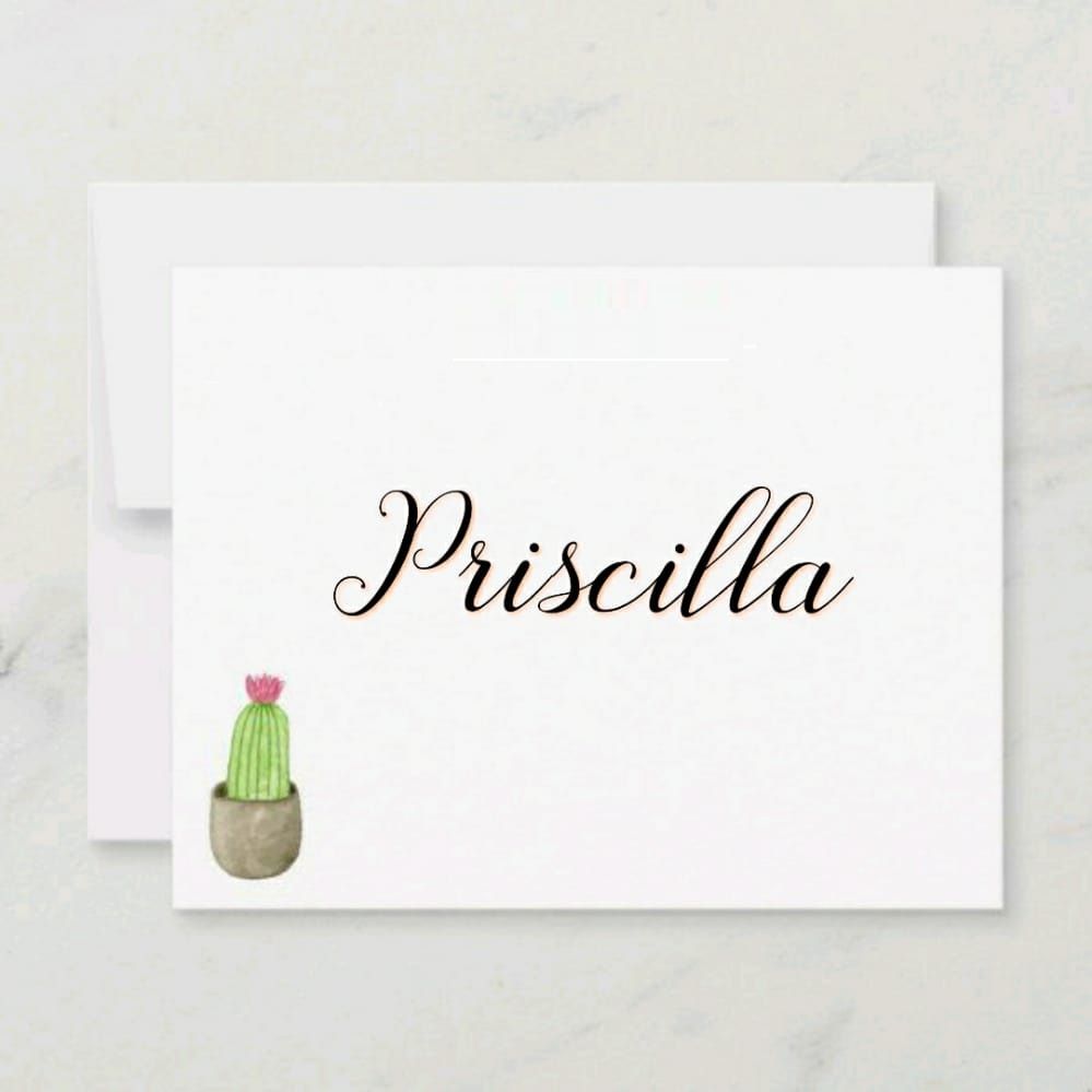 Priscilla nome de uma futura e linda cabtora