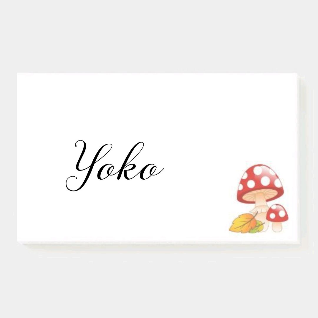 Yoko nome de uma linda chinesa