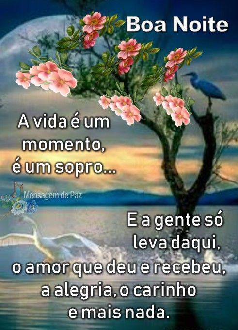 boa noite a vida é um momento unico