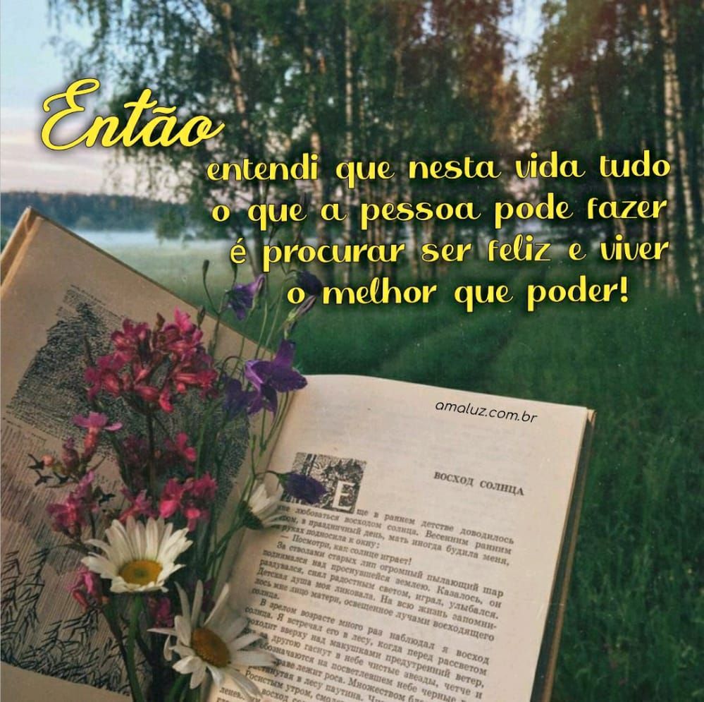 nessa vida tudo que a pessoa pode procurar é ser feliz