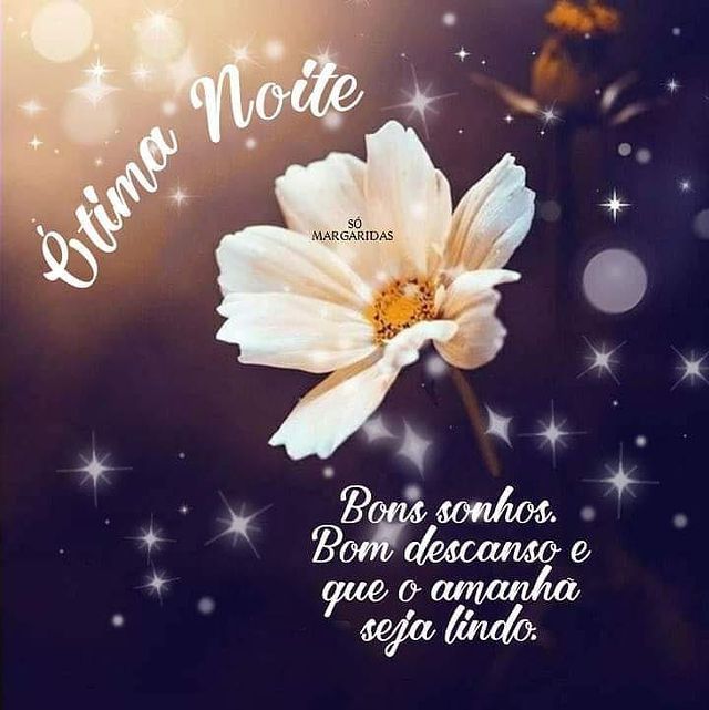 ótima noite bons sonhos
