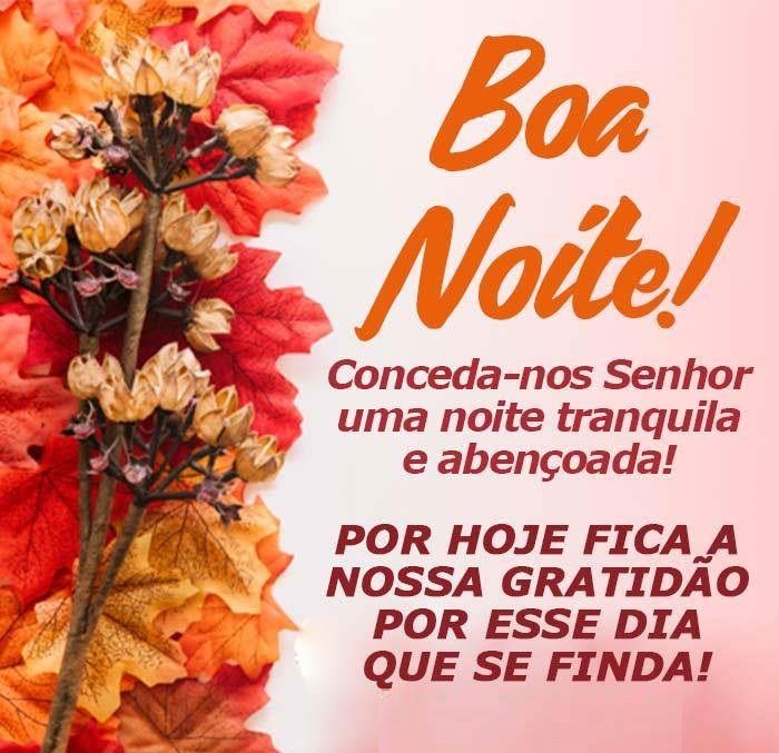 Boa noite com lindos sonhos e carinhos especiais, durma com Deus