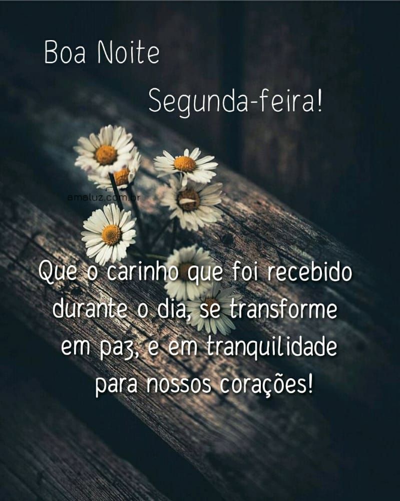 Boa noite segunda feira com carinho