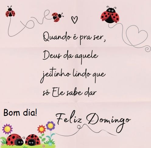 30 Imagens de Bom dia Domingo com Flores  e Frases