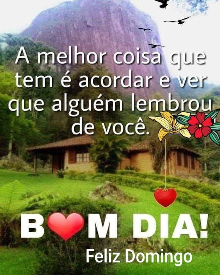 a melhor coisas que tem é acorda bom dia feliz domingo