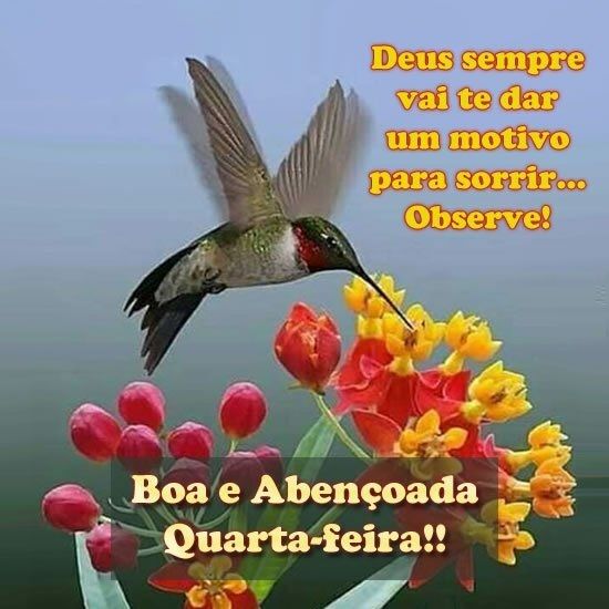 abençoada quarta feira bom dia