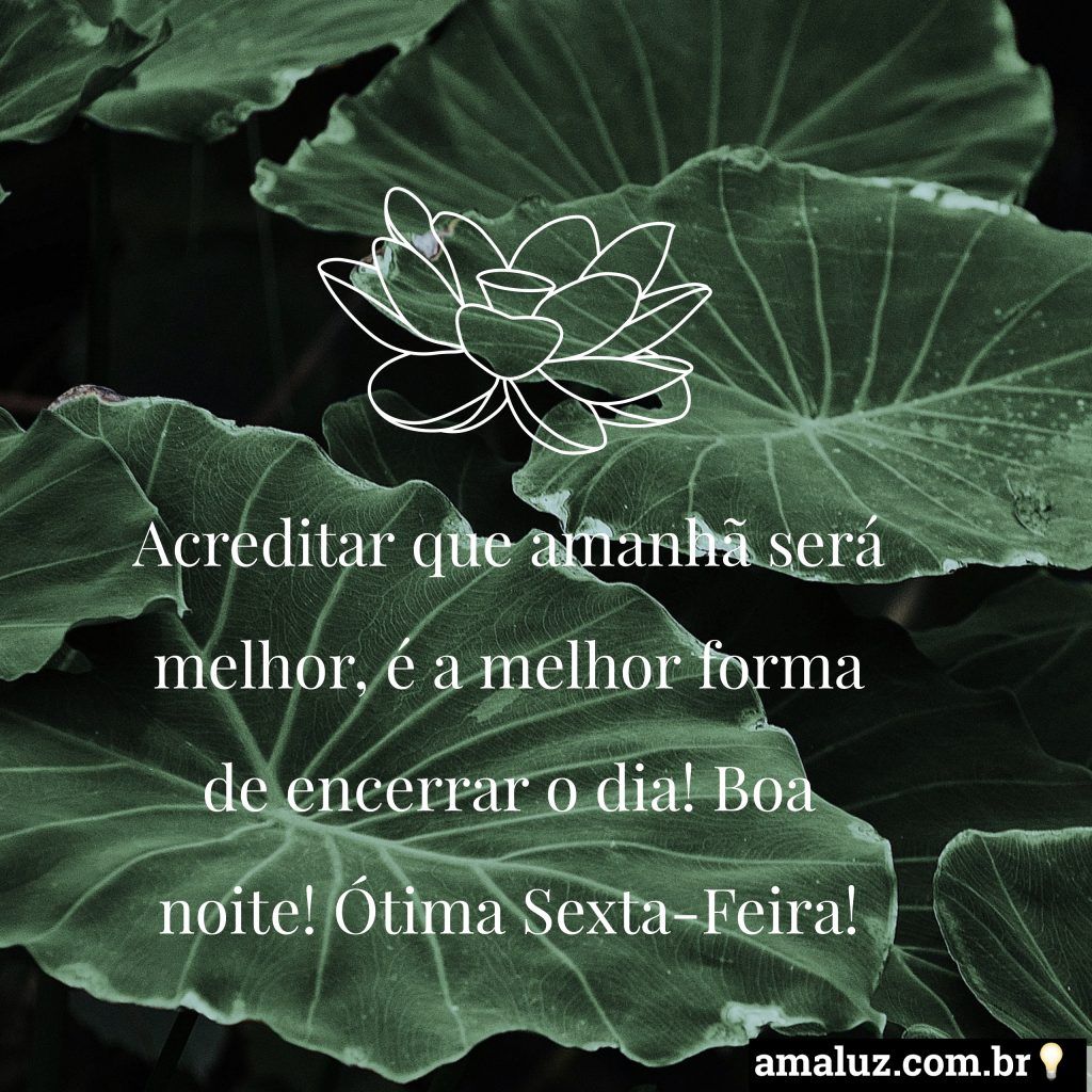 boa noite ótima sexta feira