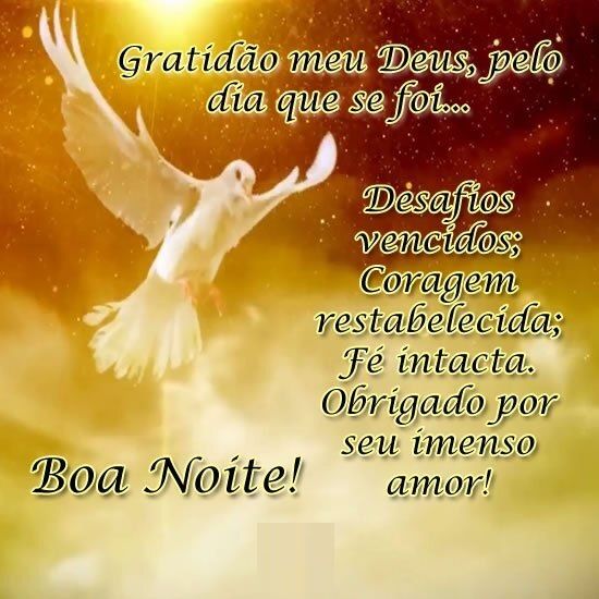 boa noite quarta feira com gratidão