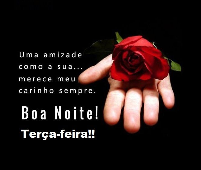 boa noite terça feira com carinho