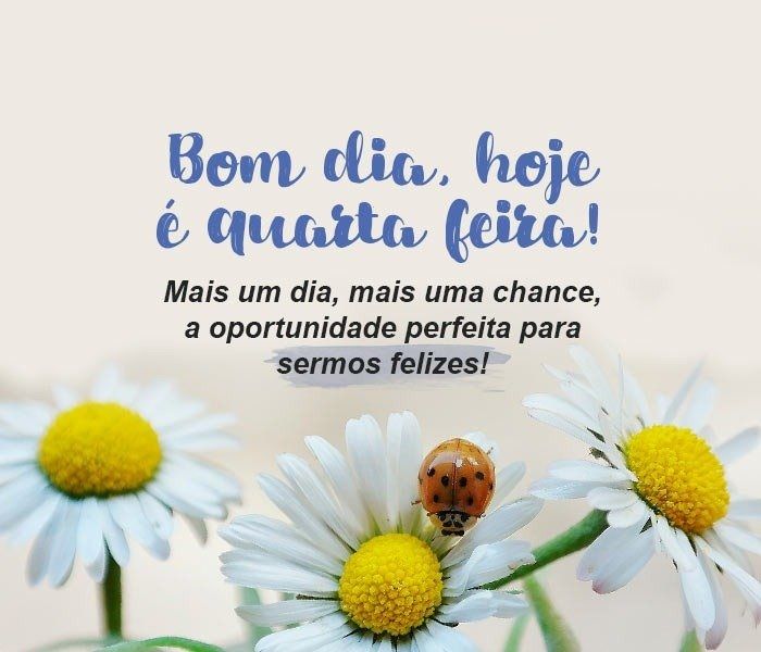 bom dia aproveite seu dia de quarta feira
