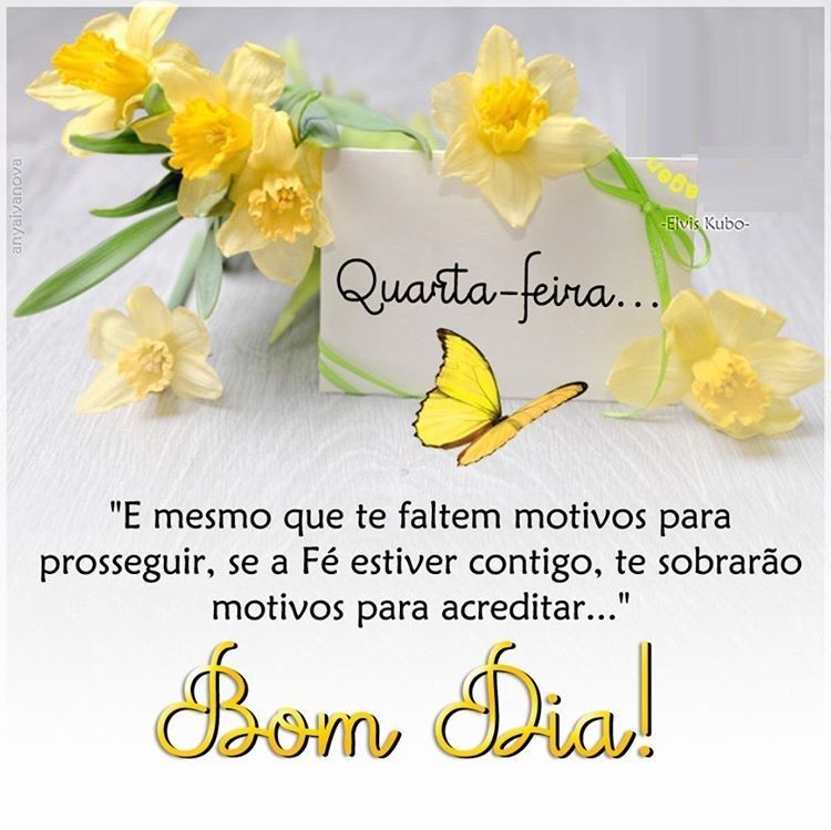 bom dia e uma feliz quarta feira