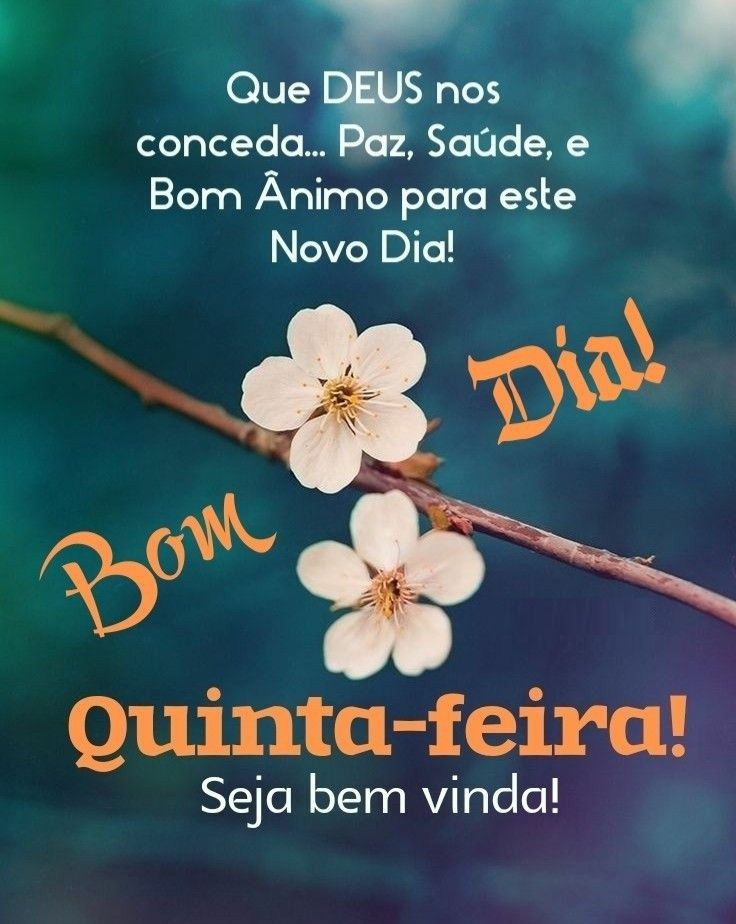 bom dia quinta feira de paz