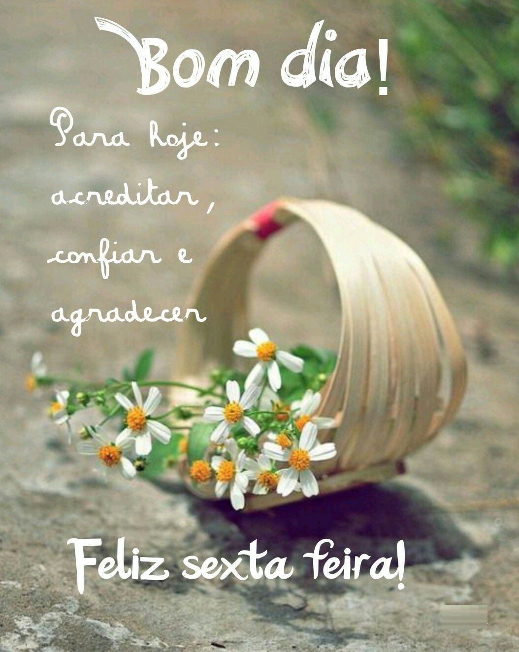 bom dia sexta feira com confiança imagens