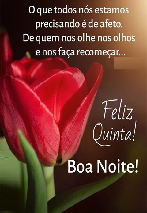 feliz quinta feira boa noite