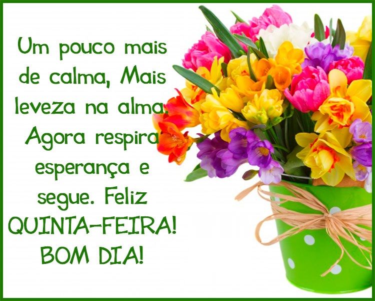mais leveza na alma bom dia feliz quinta feira