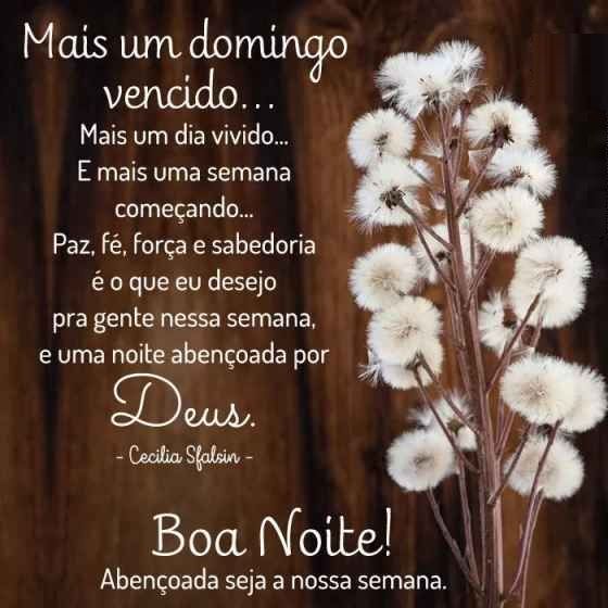 mais um belo domingo vencido boa noite