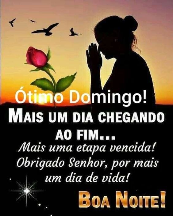 mais um dia chegando ao fim boa noite