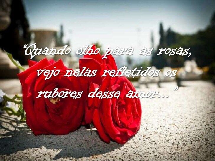 o seu amor nas rosas frases de amor