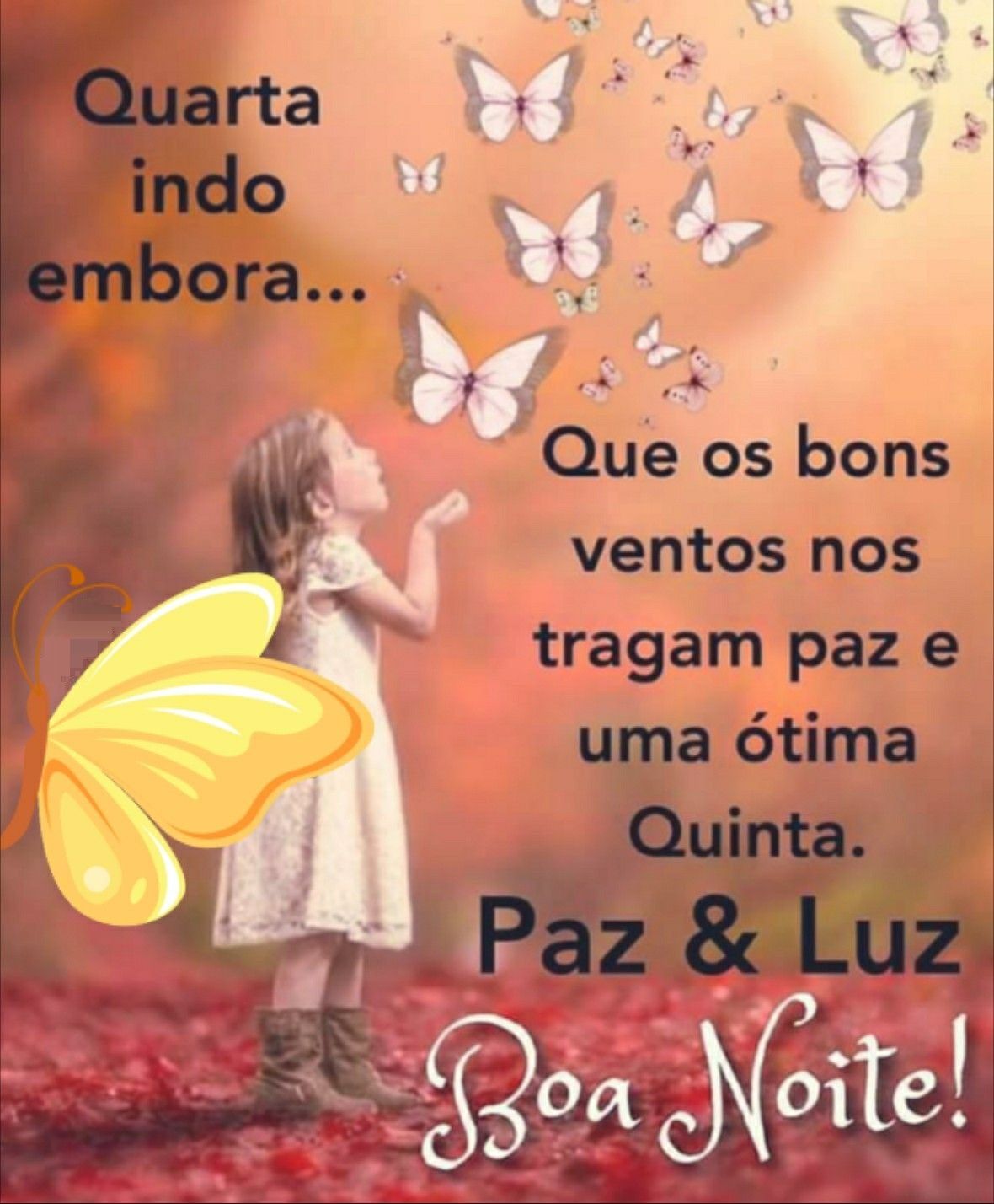 quarta feira indo embora boa noite