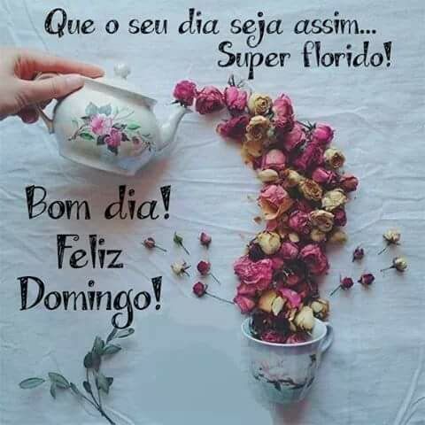que seu dia seja florido bom dia feliz domingo