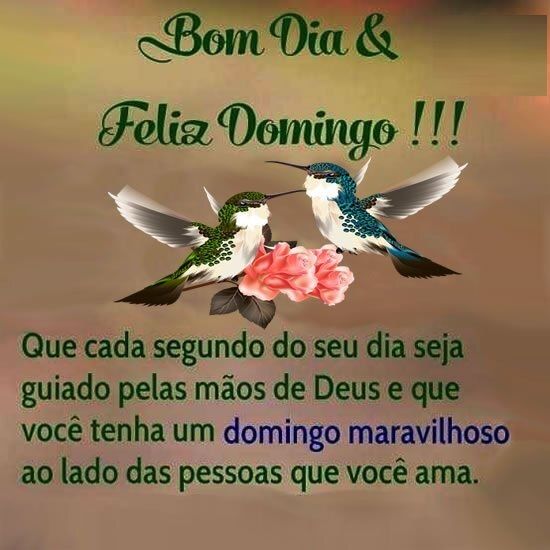 que seu domingo seja maravilhoso bom dia