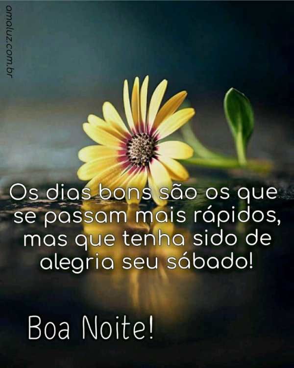 que seu sábado tenha sido de alegria boa noite