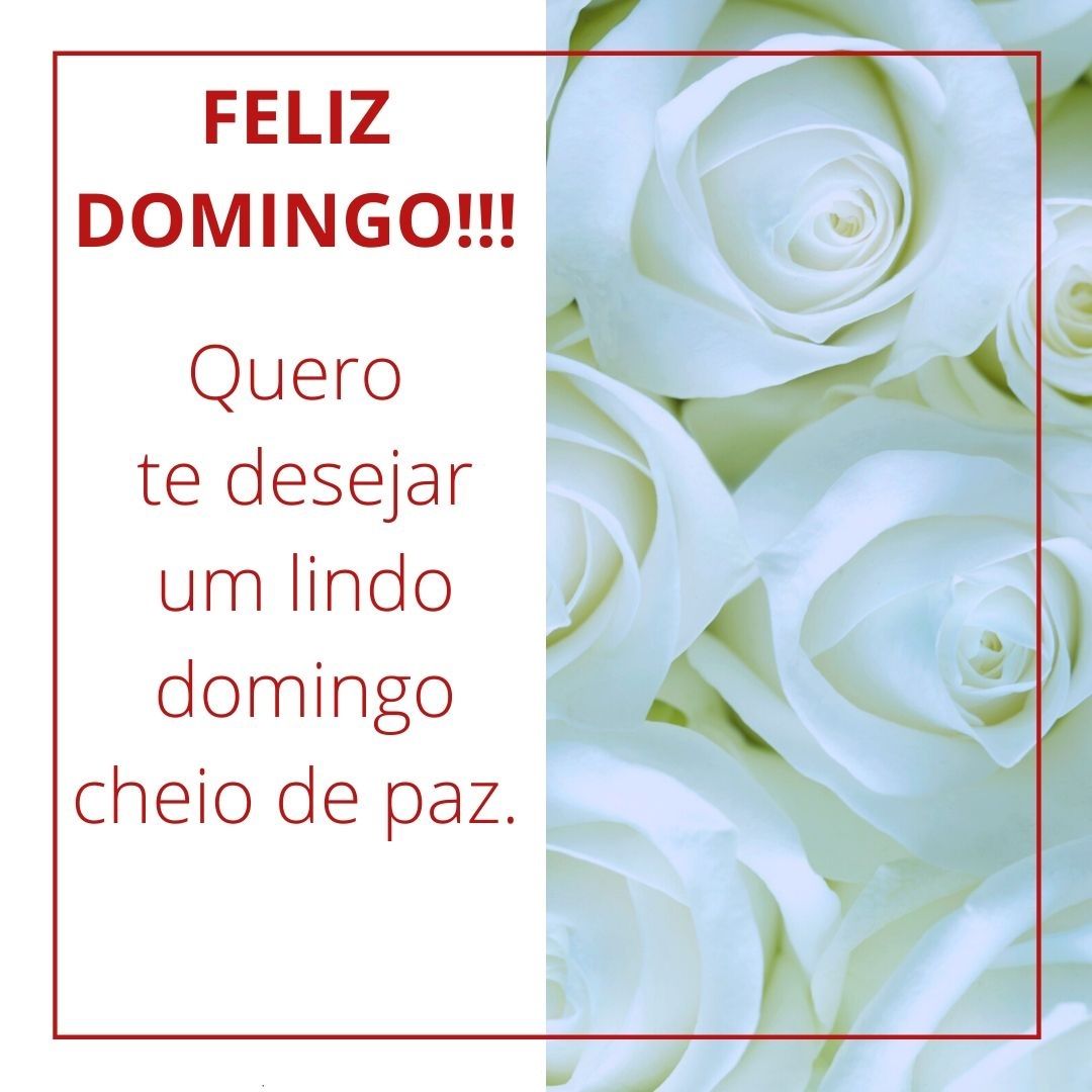 quero desejar um lindo domingo bom dia imagens