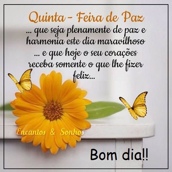 quinta feira de paz bom dia imagem