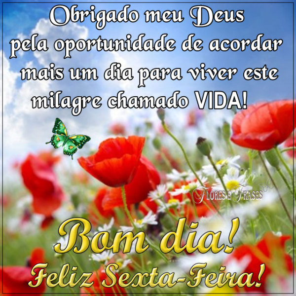 sexta feira bom dia imagens
