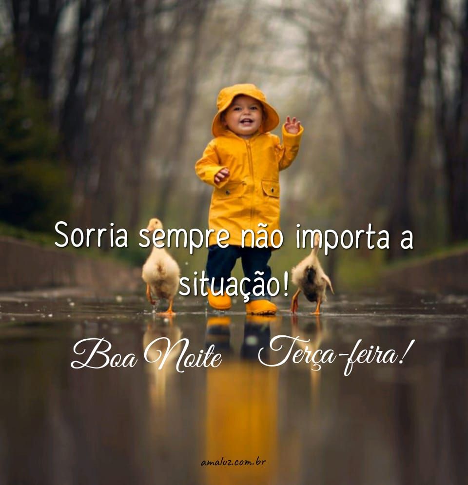 sorria sempre não importa a situação boa noite
