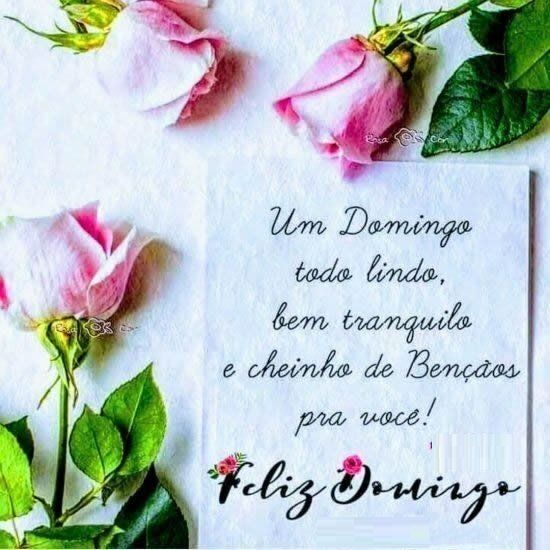 um domingo lindo e tranquilo bom dia