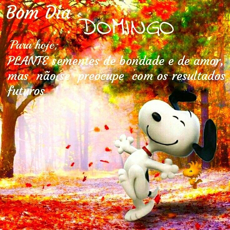 Bom dia domingo, de bondade e amor