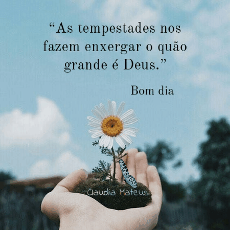 Bom dia mensagens bonitas