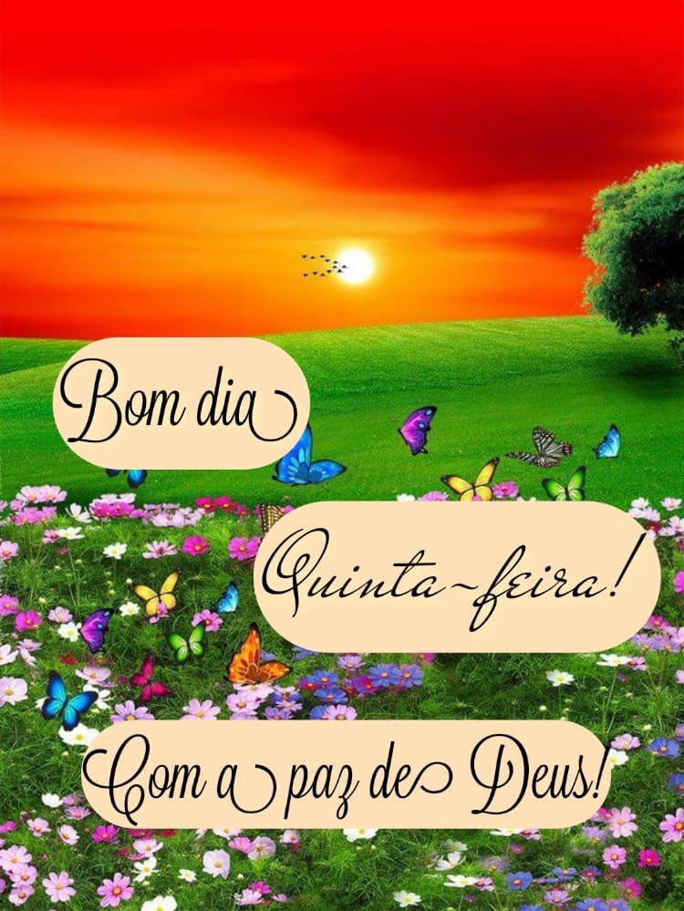 Bom dia quinta com a paz de Deus figurinhas