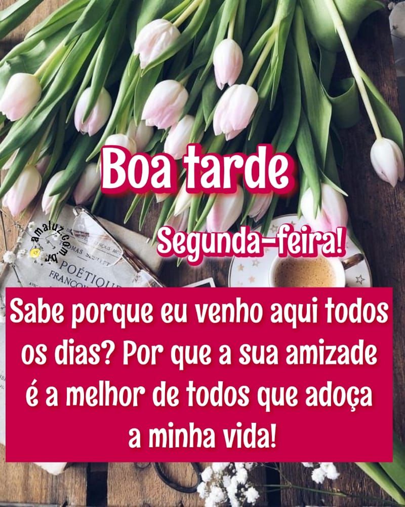 Eu venho te desejar boa tarde imagens segunda