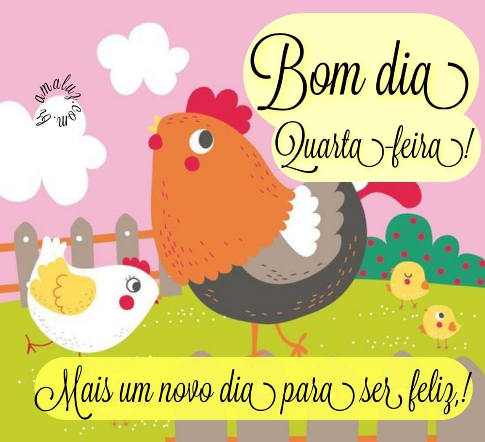 Novo dia pra ser feliz quarta feira