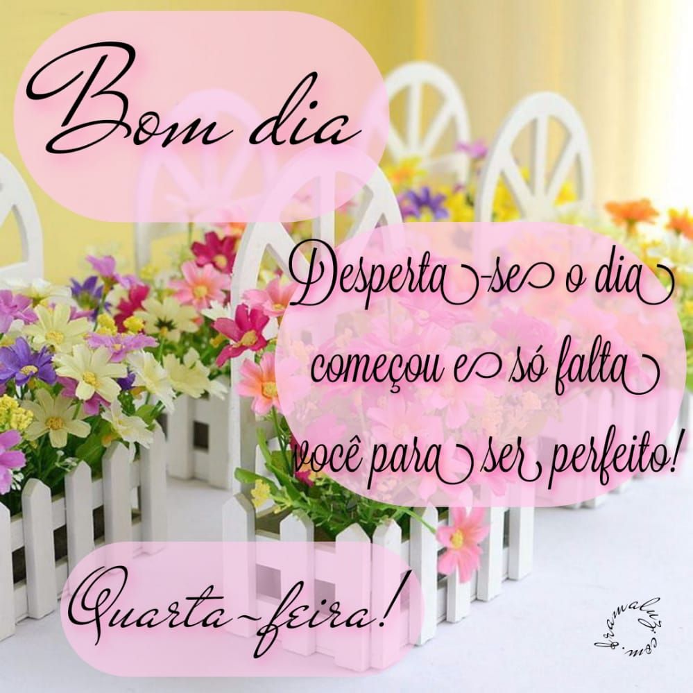 O dia começou bom dia quarta fugurinhas