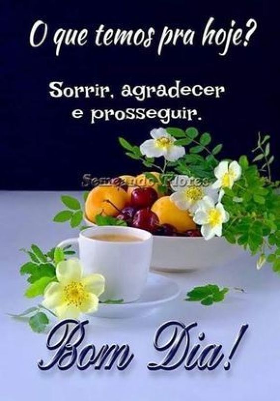 O que temos para hoje bom dia mensagens