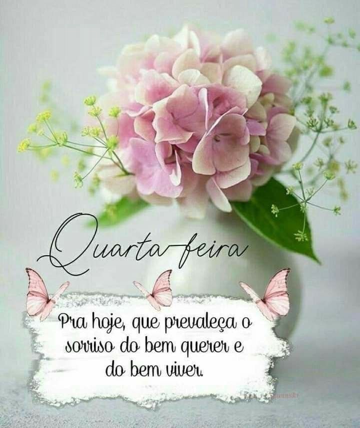Para hoje sorrisos bom dia quarta fera figurinha