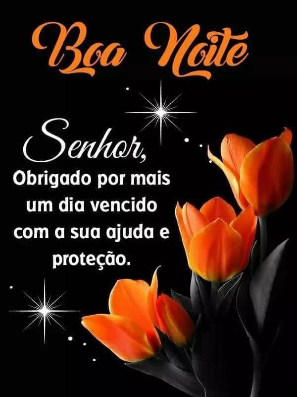 Senhor obrigada por mais um dia vencido